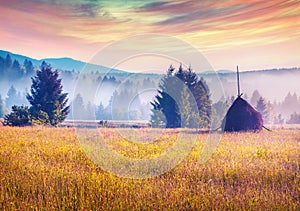 Haymaking in a Carpathian village