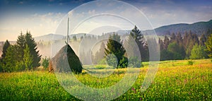 Haymaking in a Carpathian village.