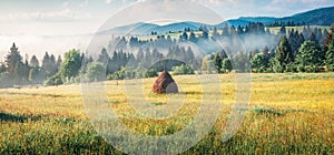 Haymaking in a Carpathian village. Panoramic summer view of foggy mountain, Kolochava village location, Ukraine, Europe. Beauty of