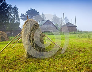 Haymaking in a Carpathian village. photo