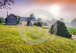 Haymaking in Carpathian village. Ukraine, Europe photo