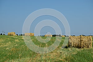 haymaking dry grass sunshine weather blue sky