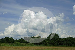 Haymaking in the floodplain of the Pripyat River. Flooded meadows. Horizontal shot of a sultry summer