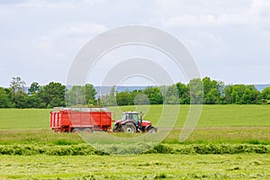 Haymaking. The harvester collects freshly cut grass into a tractor trailer