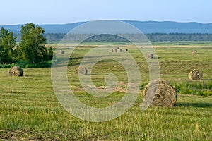 Haymaking, harvesting in the fields and hills