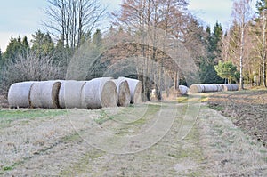 Haymaking, hay storage, NiederÃ¶sterreich, Austria