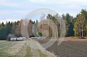 Haymaking, hay storage, NiederÃ¶sterreich, Austria