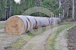 Haymaking, hay storage, NiederÃ¶sterreich, Austria