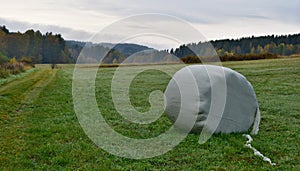 Haymaking, hay storage, South Bohemia