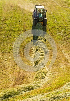 Haymaking on a hillside with rows of hay, a hay tedder and a hay-loader