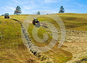 Haymaking on a hillside with rows of hay, a hay tedder and a hay-loader