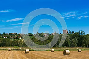 Haymaking in italian fields