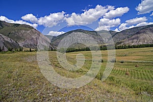 Haymaking in the mountains. Altai, Russia.