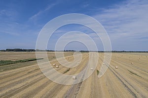 Haymaking processed into round bales in a field