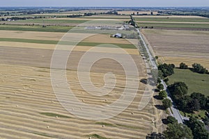 Haymaking processed into round bales in a field