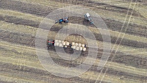 Haymaking processed into round bales in a field