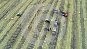 Haymaking processed into round bales in a field