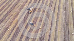 Haymaking processed into round bales in a field