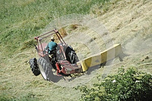 Haymaking photo