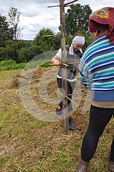 Haymaking season, two village women work in the field, preparing a wooden support for drying hay on it by driving it into the