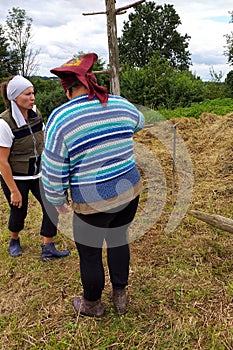 Haymaking season, two village women work in the field, preparing a wooden support for drying hay on it by driving it into the