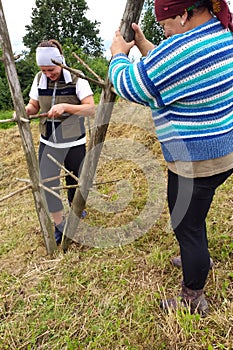 Haymaking season, two village women work in the field, preparing a wooden support for drying hay on it by driving it into the