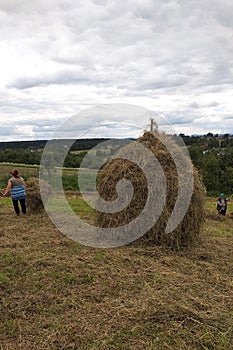 Haymaking season in Ukrainian Carpathian villages, women work in the field, throwing and raking hay by hand in the field