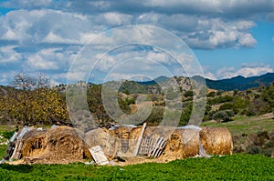 Haymaking time in Europe