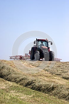 Haymaking: tractor turning hay.