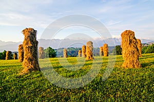 Haymaking in the ZÄ…b village in Podhale