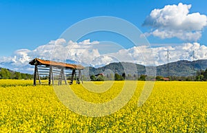 Hayrack in a field