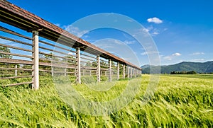 Hayrack standing in a field