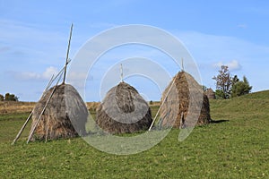 Hayricks in a mountainous area