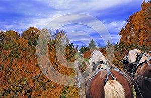 Hayride at the orchard