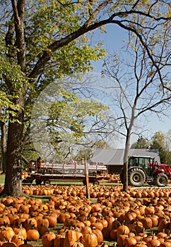 A hayride on a trailer pulled by a tractor.