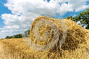 Hayroll on crop field