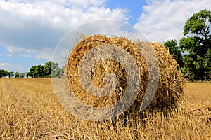 Hayroll on crop field
