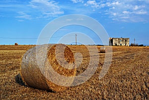 Hays field on summertime