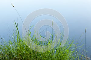 Hays and grass next to lake in the summer