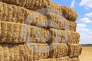 Haystack