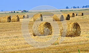 Haystack