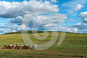 A haystack in an agricultural field. A beautiful yellow field after harvesting wheat. Rolled hay bales dry in the sun