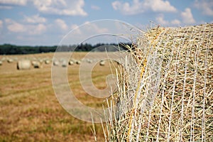 Haystack agriculture field landscape. Agriculture field hay stacks. Hay bale drying in the field at harvest time