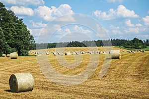 Haystack agriculture field landscape. Agriculture field hay stacks. Hay bale drying in the field at harvest time