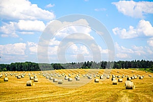 Haystack agriculture field landscape. Agriculture field hay stacks. Hay bale drying in the field at harvest time