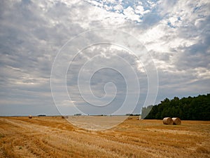 Haystack agriculture field landscape. Agriculture field hay stacks.Mown meadow with blue sky and clouds. Agricultural landscape