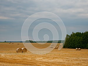 Haystack agriculture field landscape. Agriculture field hay stacks.Mown meadow with blue sky and clouds. Agricultural landscape