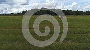 Haystack agriculture field landscape with pine trees growing in the distance against blue cloudy sky. Shot. Hay bales