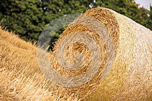 Haystack