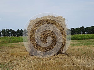 Haystack on the agriculture mowed field photo